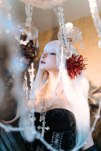 今日出勤 - 喵喵