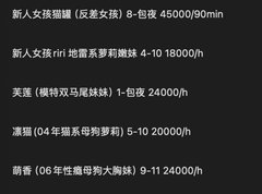 今日出勤 - 喵喵