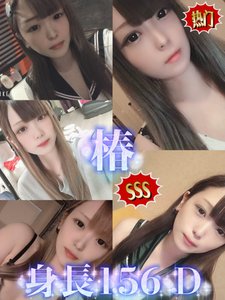 SSS🇯🇵 椿 - 蜜惑之境