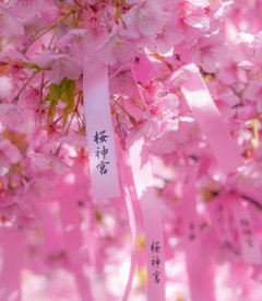 AV老师盲盒 - 西天取精